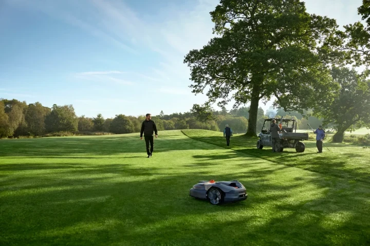 961.